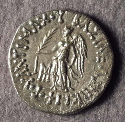 �M���V�A����(�\)